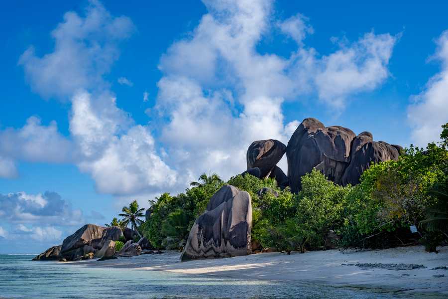 Travelling to... Seychelles? Oh! Tango Suerte