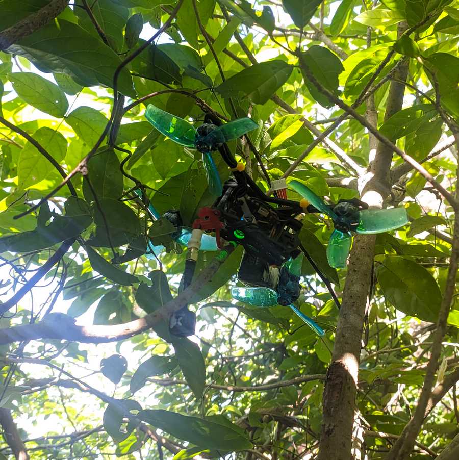 Crux35 stuck on a tree