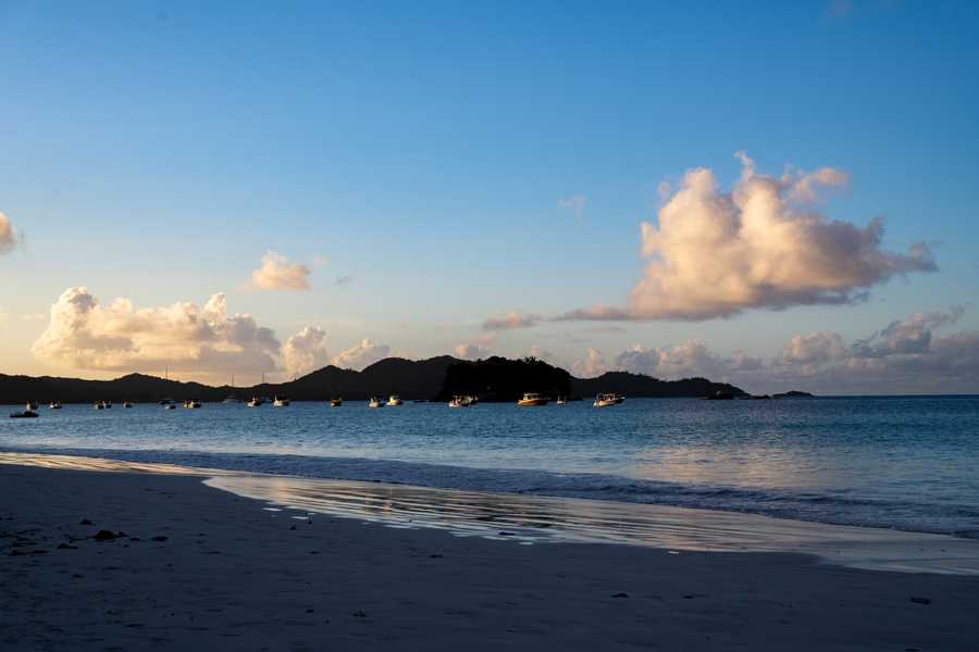 Cote d'Or